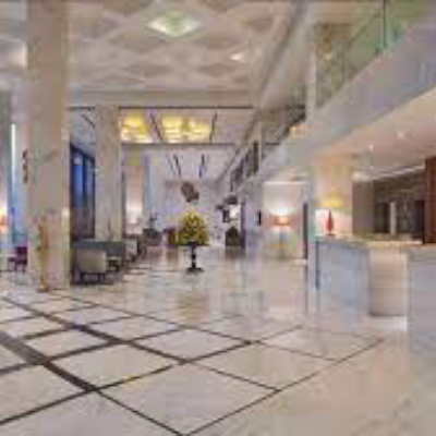 Radisson Hotel Agra 5,